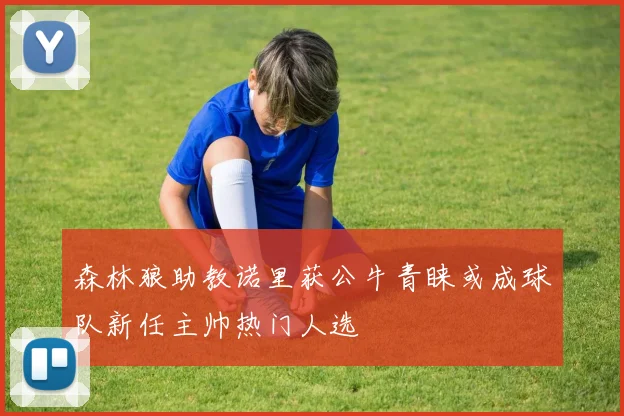森林狼助教诺里获公牛青睐或成球队新任主帅热门人选