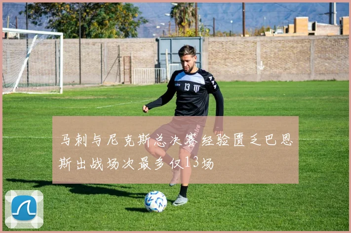 马刺与尼克斯总决赛经验匮乏巴恩斯出战场次最多仅13场