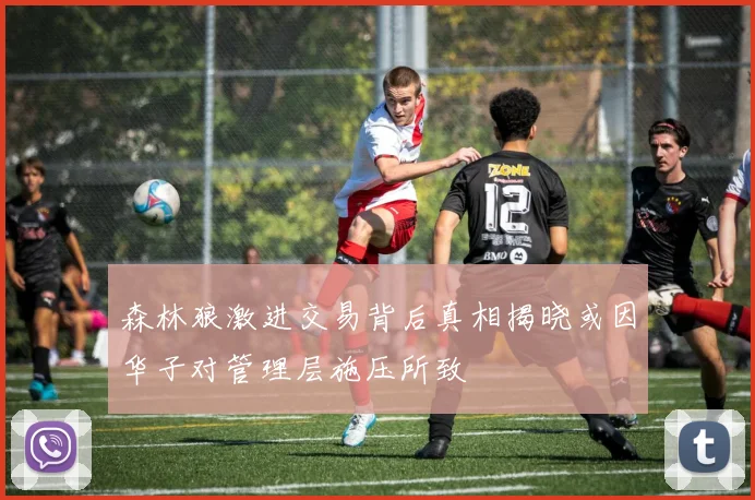 森林狼激进交易背后真相揭晓或因华子对管理层施压所致