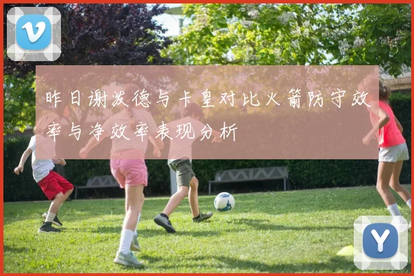 昨日谢泼德与卡皇对比火箭防守效率与净效率表现分析